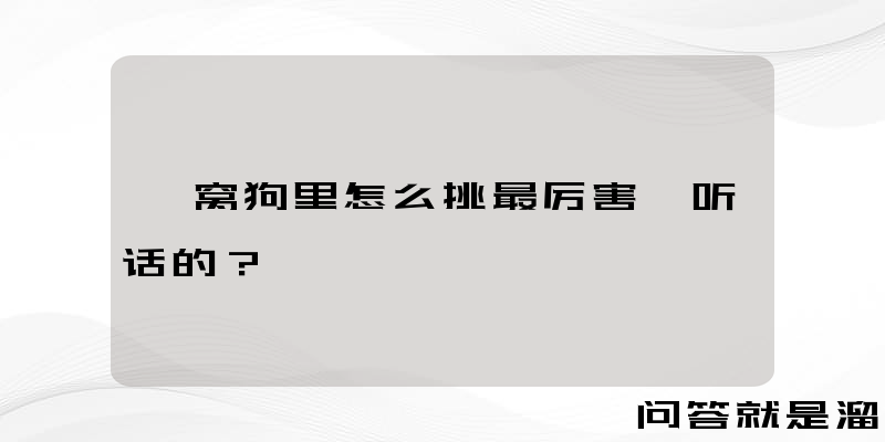 一窝狗里怎么挑最厉害、听话的？