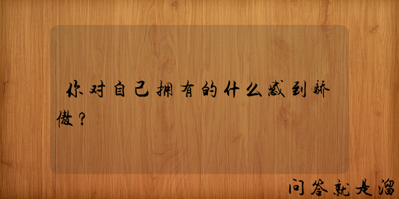 你对自己拥有的什么感到骄傲？