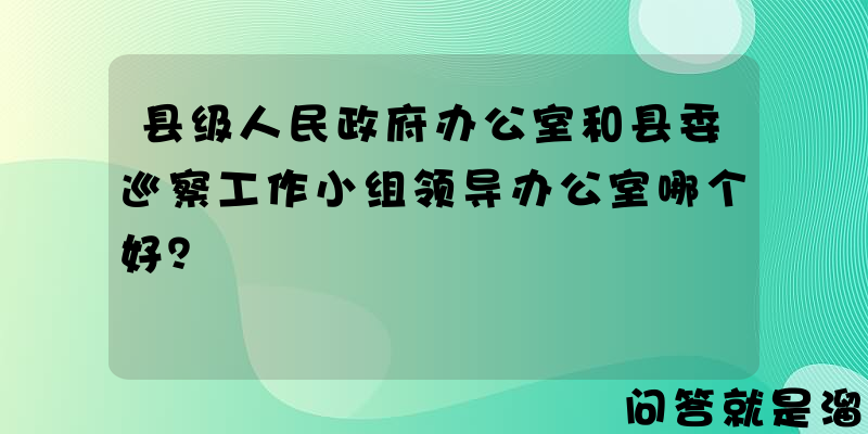 县级人民政府办公室和县委巡察工作小组领导办公室哪个好？