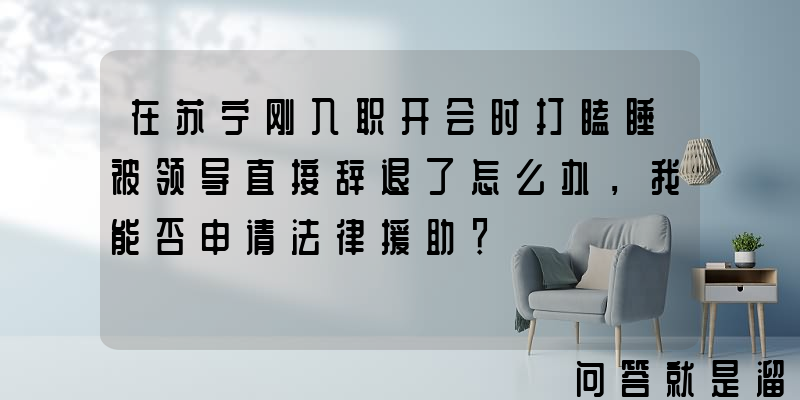 在苏宁刚入职开会时打瞌睡被领导直接辞退了怎么办，我能否申请法律援助？