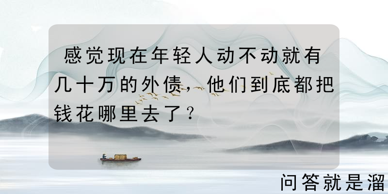 感觉现在年轻人动不动就有几十万的外债，他们到底都把钱花哪里去了？