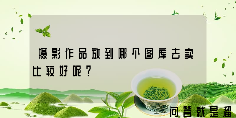 摄影作品放到哪个图库去卖比较好呢？